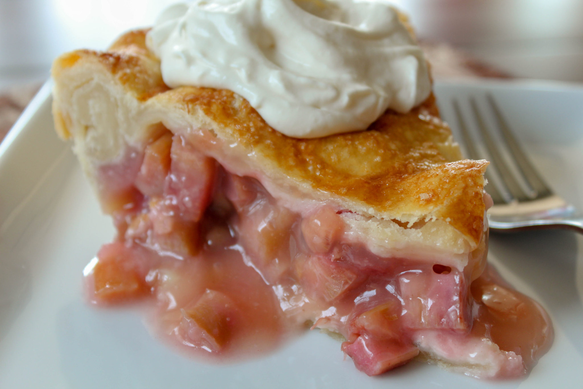 Fresh Rhubarb Pie Recipes Inspired By Mom 4878